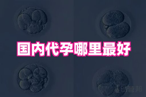 权威助孕网 3